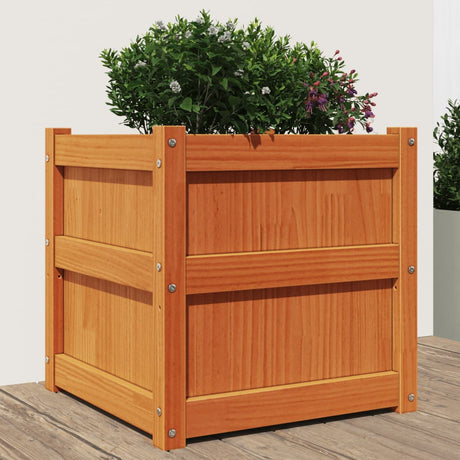 Vidaxx plantekasse 50x50x50 cm massiv fyrretræ, vask brun
