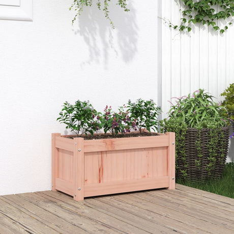 Vidaxx plantekasse 60x31x31 cm massivt Douglas træ