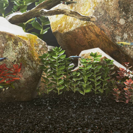Vidaxx akvariesand 25 kg 0,2-2 mm sort