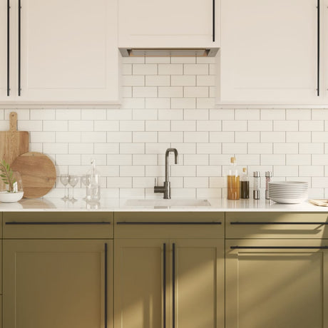 VidaXL håndtag 20 stk 480 mm rustfrit stål sort