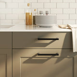 Vidaxx håndtag 20 stk 160 mm rustfrit stål sort