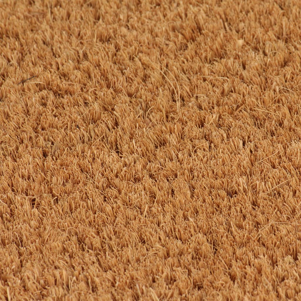Vidaxx dørmåtte 40x60 cm tuftet kokosfiber natur