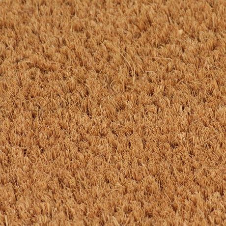 Vidaxx dørmåtter 2 stk 40x60 cm tuftet kokosfiber natur