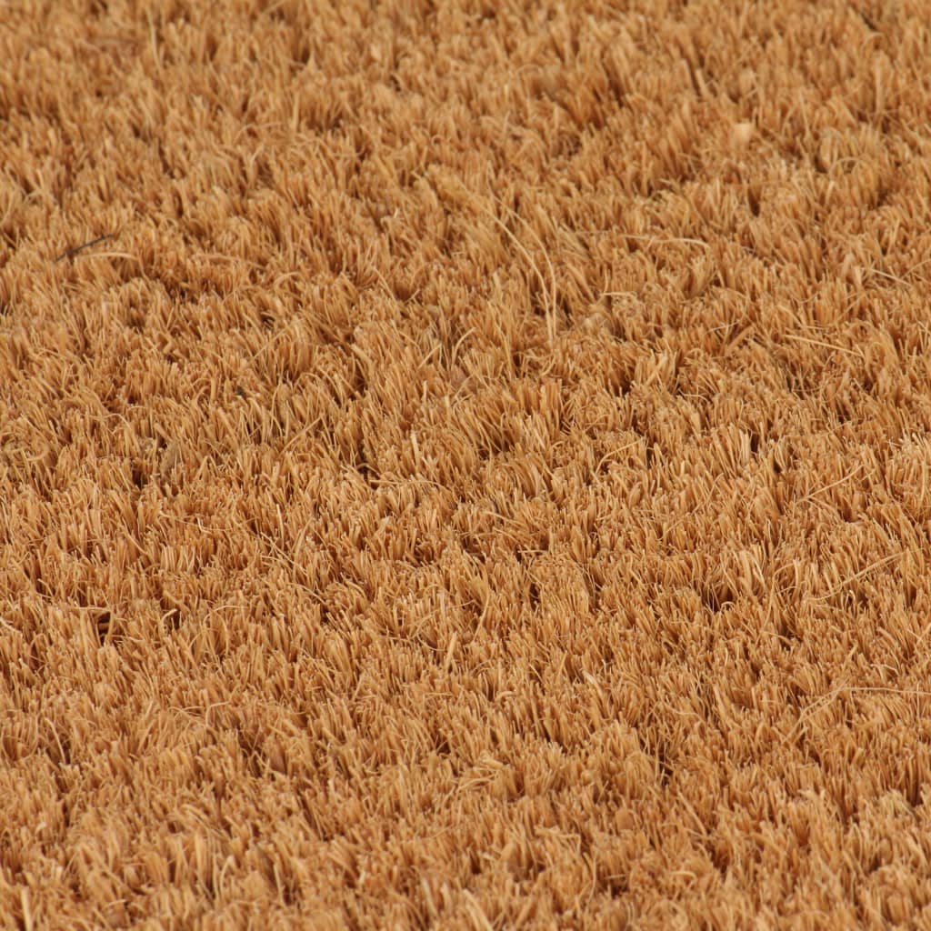 Vidaxx dørmåtte 50x80 cm tuftet kokosfiber natur