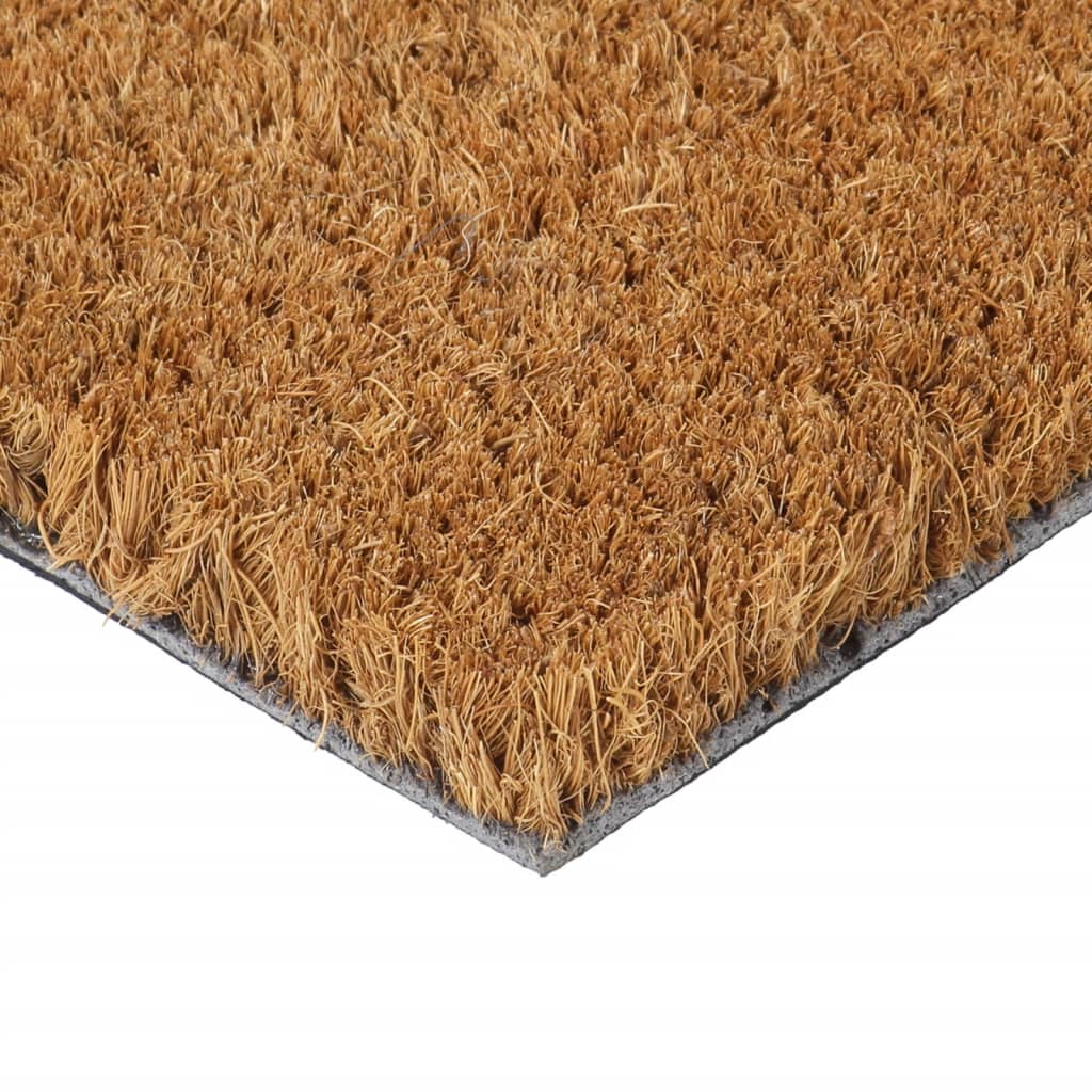 Vidaxx dørmåtte 40x60 cm tuftet kokosfiber natur