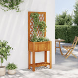 Vidaxx plantekasse med espalier og hylde 55x29,5x152 cm akacietræ