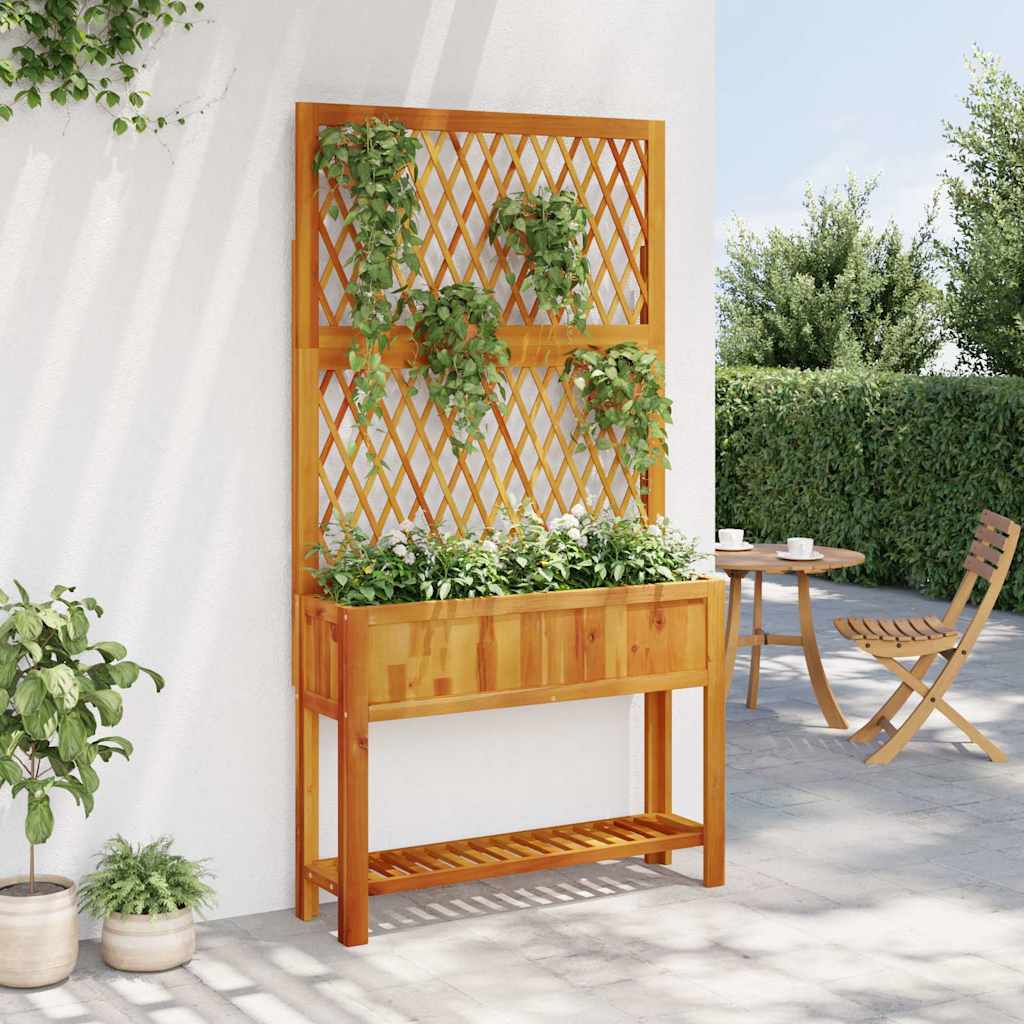 Vidaxx plantekasse med espalier og hylde 100x32x185 cm akacietræ