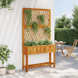 Vidaxx plantekasse med espalier og hylde 100x32x185 cm akacietræ