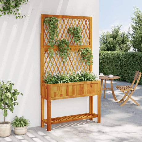 Vidaxx plantekasse med espalier og hylde 100x32x185 cm akacietræ