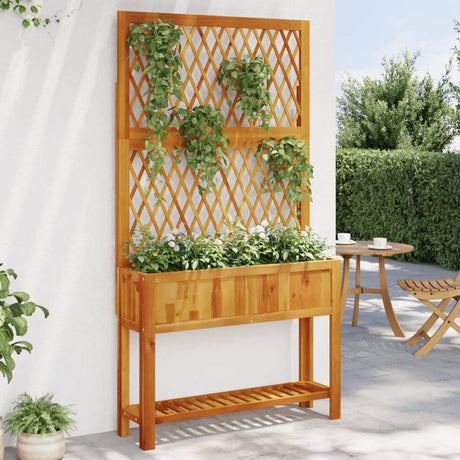 Vidaxx plantekasse med espalier og hylde 100x32x185 cm akacietræ