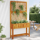 Vidaxx plantekasse med espalier og hylde 100x32x185 cm akacietræ