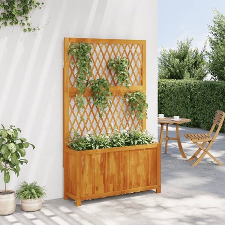 Vidaxx plantekasse med espalier 100x32x165 cm massivt akacietræ