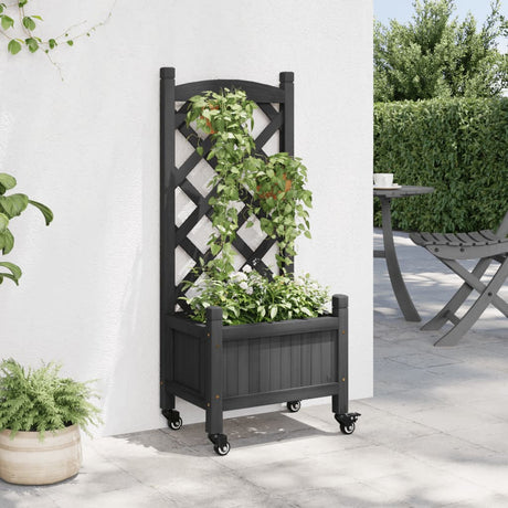 VidaXL Plantekasse med espalier og hjul, massiv fyrretræ, sort