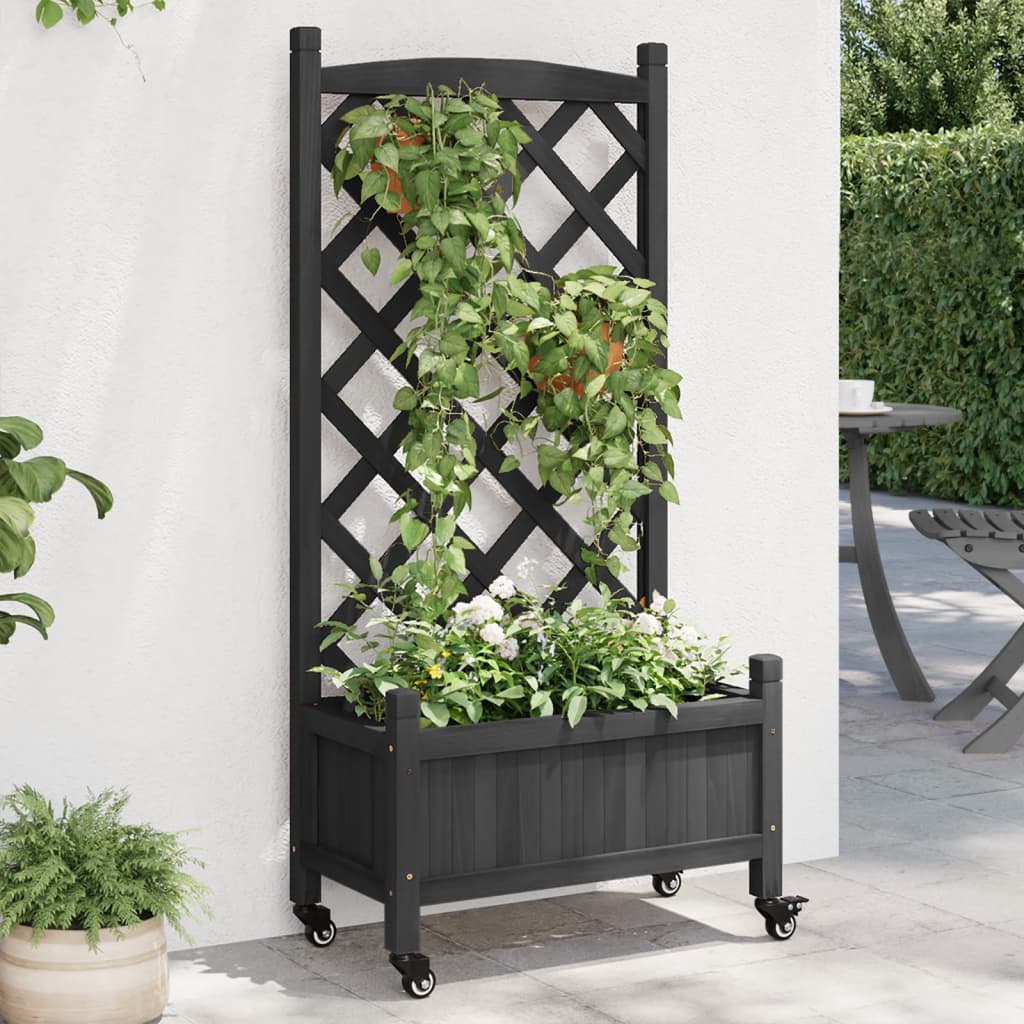 VidaXL Plantekasse med espalier og hjul, massiv fyrretræ, sort