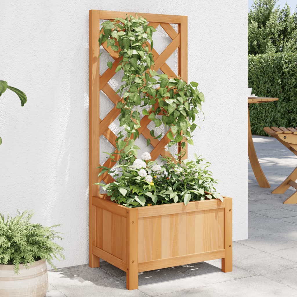 VidaXL plantekasse med espalier, massiv fyrretræ, brun