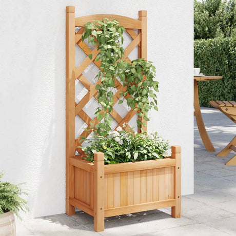 VidaXL plantekasse med espalier, massiv fyrretræ, brun