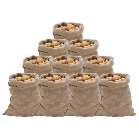 Vidaxx juteposer 10 stk 220 g m² 60x105 cm 100% jute