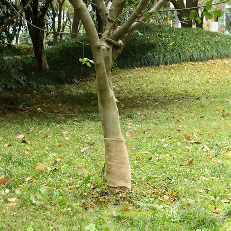 VidaXL juterulle 200 g m² 0,25x5 m 100% jute