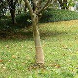 VidaXL juterulle 200 g m² 0,25x15 m 100% jute