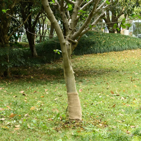 Vidaxxl juterulle 200 g m² 0,25x100 m 100% jute