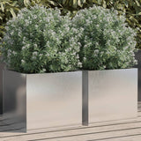 Vidaxx plantekasser 2 stk 32x30x29 cm rustfrit stål sølvfarvet