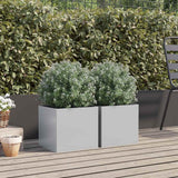 Vidaxx plantekasser 2 stk 32x30x29 cm galvaniseret stål sølv farve
