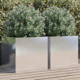 Vidaxx plantekasser 2 stk 49x47x46 cm rustfrit stål sølvfarvet