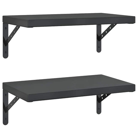 Vidaxl wandschappen 2 st 50x30 cm roestvrijstaal zwart