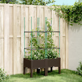 Vidaxx plantekasse med espalier 80x40x142,5 cm polypropylen brun