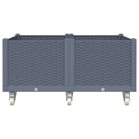 Vidaxx plantekasse med hjul 100x80x54 cm polypropylen grå