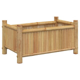 Vidaxx plantekasse 50x30x25 cm bambus
