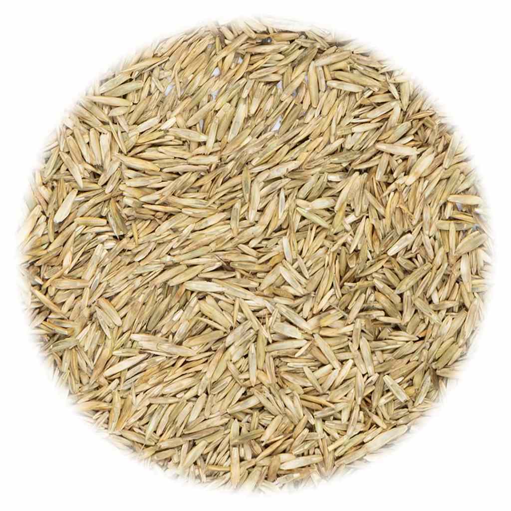 VidaXL Græsfrø 15 kg