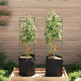 Vidaxl tomatbur med plantepose 2 stk 116 cm stål og polypropylen