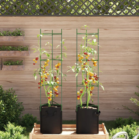 Vidaxl tomatbur med plantepose 2 stk 154 cm stål og polypropylen