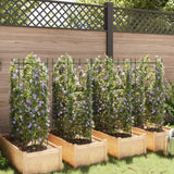 Vidaxl tomatbure 8 stk 116 cm stål og polypropylen