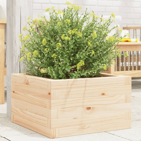 Vidaxx plantekasse 40x40x23 cm massivt fyrretræ