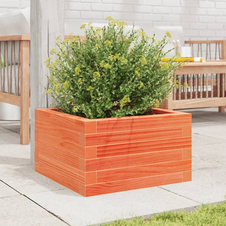 Vidaxx plantekasse 40x40x23 cm massiv fyrretræ, vask brun