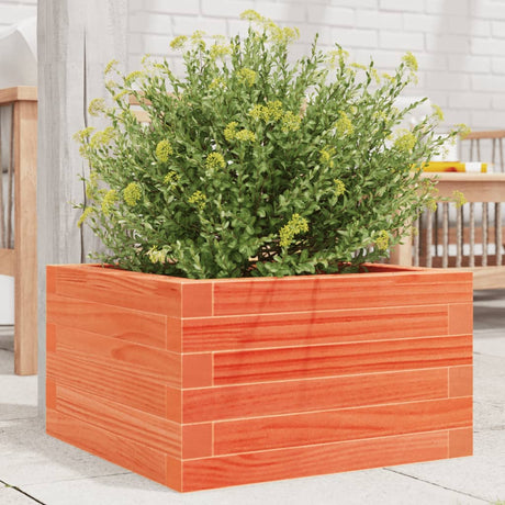 Vidaxx plantekasse 40x40x23 cm massiv fyrretræ, vask brun