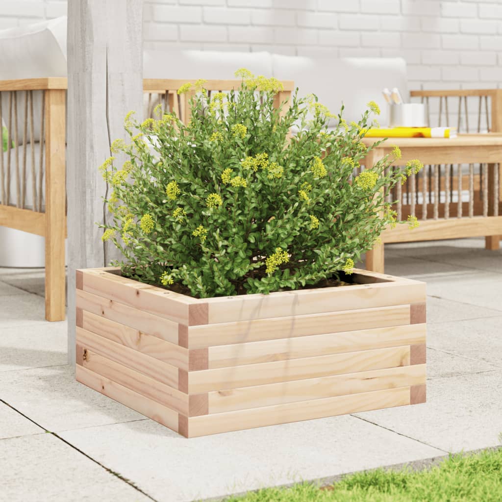 Vidaxx plantekasse 50x50x23 cm massivt fyrretræ