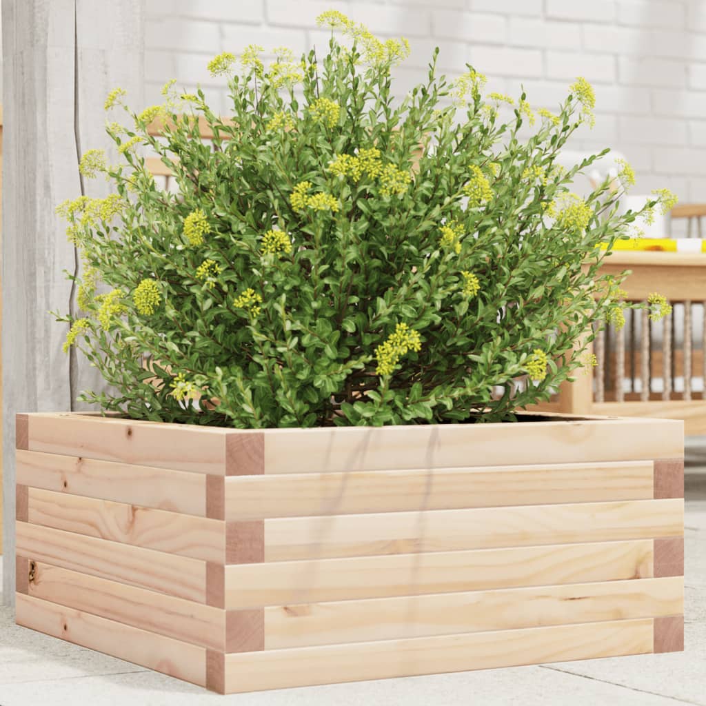 Vidaxx plantekasse 50x50x23 cm massivt fyrretræ