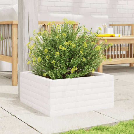 Vidaxx plantekasse 50x50x23 cm massiv fyrretræ hvid
