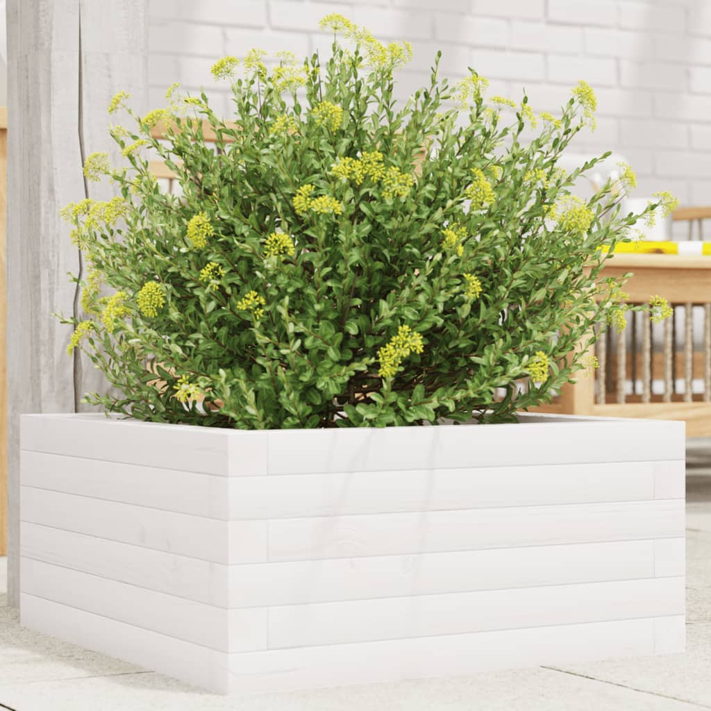 Vidaxx plantekasse 50x50x23 cm massiv fyrretræ hvid