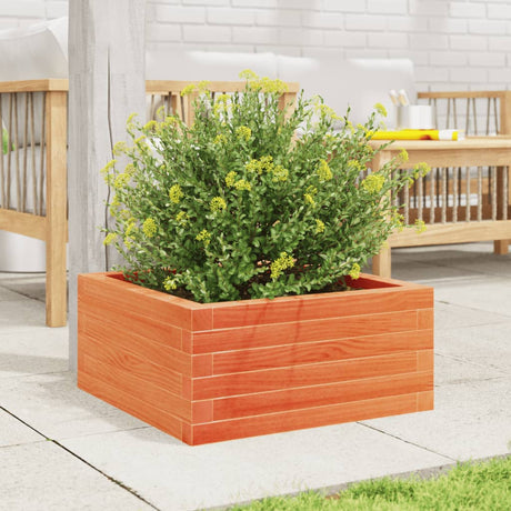 Vidaxx plantekasse 50x50x23 cm massiv fyrretræ, vask brun