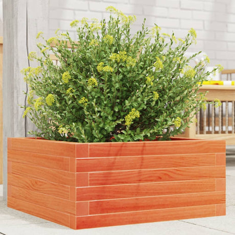 Vidaxx plantekasse 50x50x23 cm massiv fyrretræ, vask brun