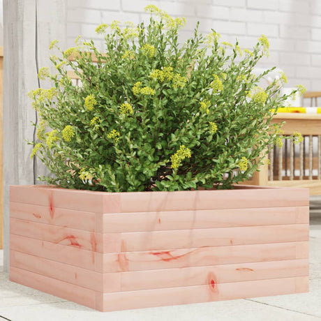 Vidaxx plantekasse 50x50x23 cm massivt Douglas træ