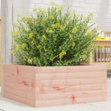Vidaxx plantekasse 50x50x23 cm massivt Douglas træ