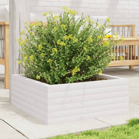 Vidaxx plantekasse 60x60x23 cm massiv fyrretræ hvid