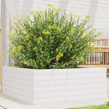 Vidaxx plantekasse 60x60x23 cm massiv fyrretræ hvid