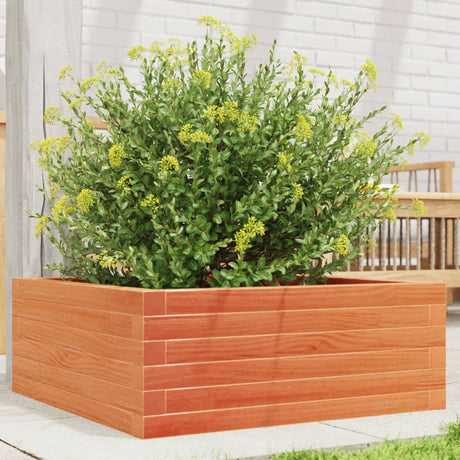 Vidaxx plantekasse 60x60x23 cm massiv fyrretræ, vask brun