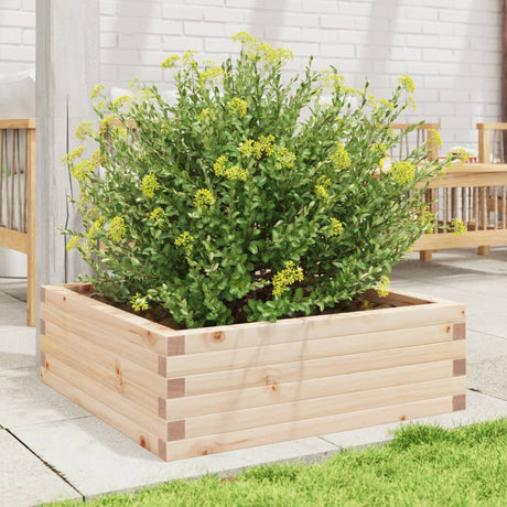 Vidaxx plantekasse 70x70x23 cm massivt fyrretræ